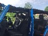 Rex wants a ride