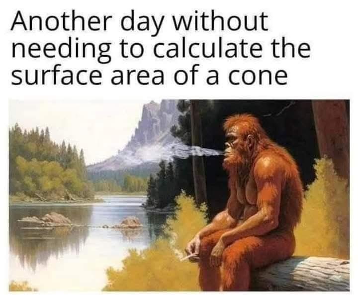 Image Comment