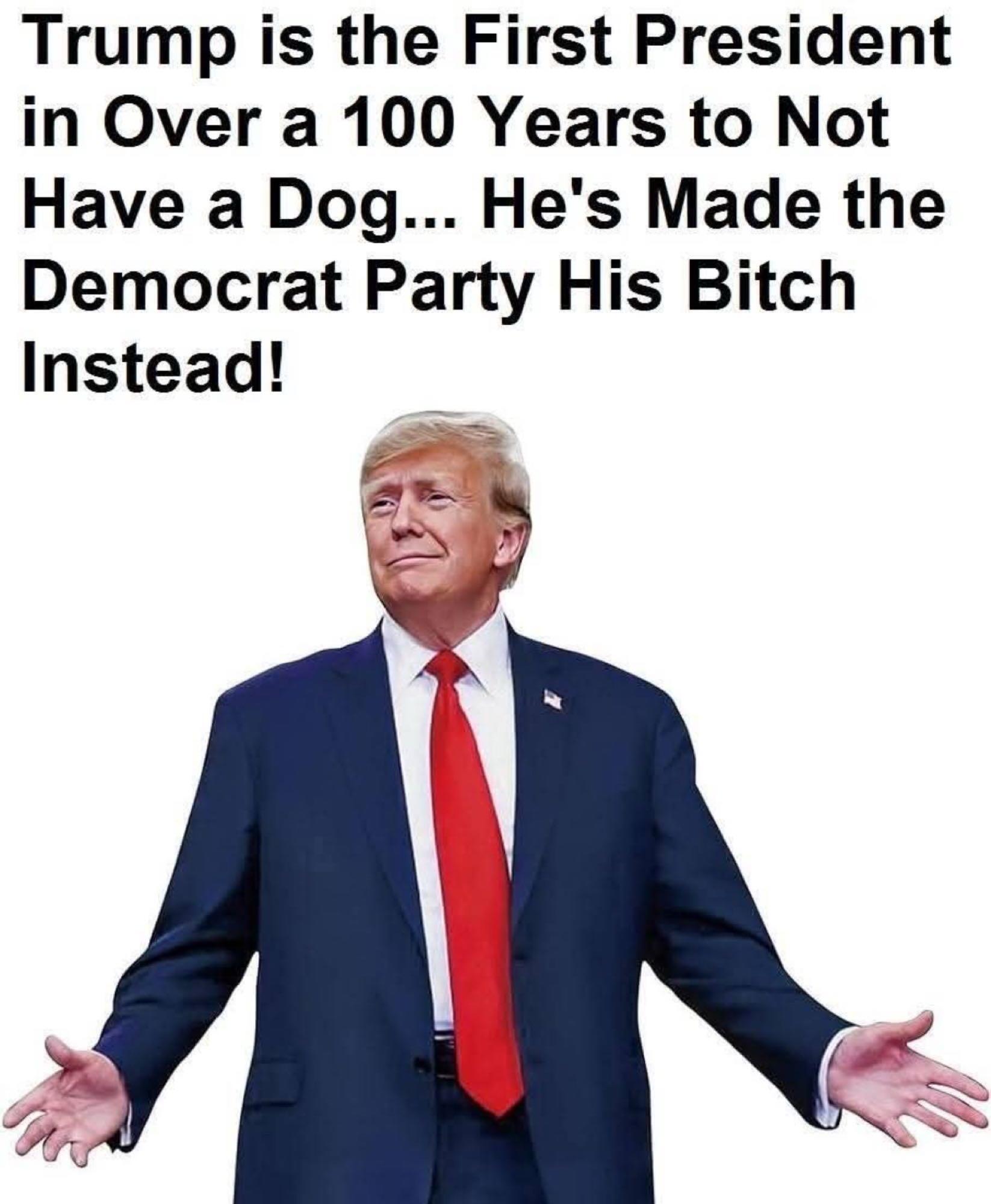 Image Comment